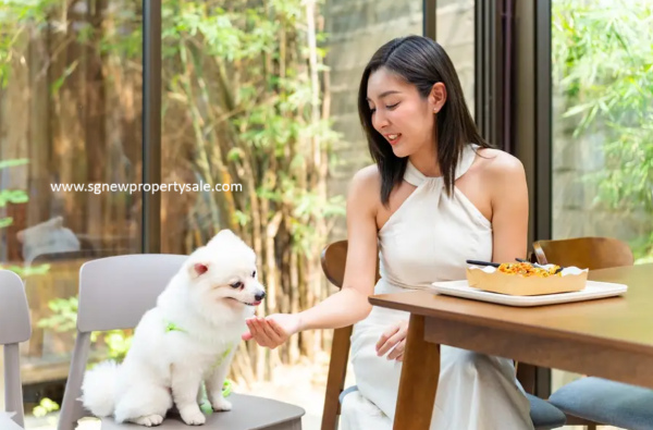Holland Drive Condo_Pet-Friendly Cafe