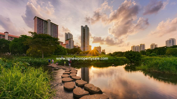 Thomson View_Bishan Ang Mo Kio Park